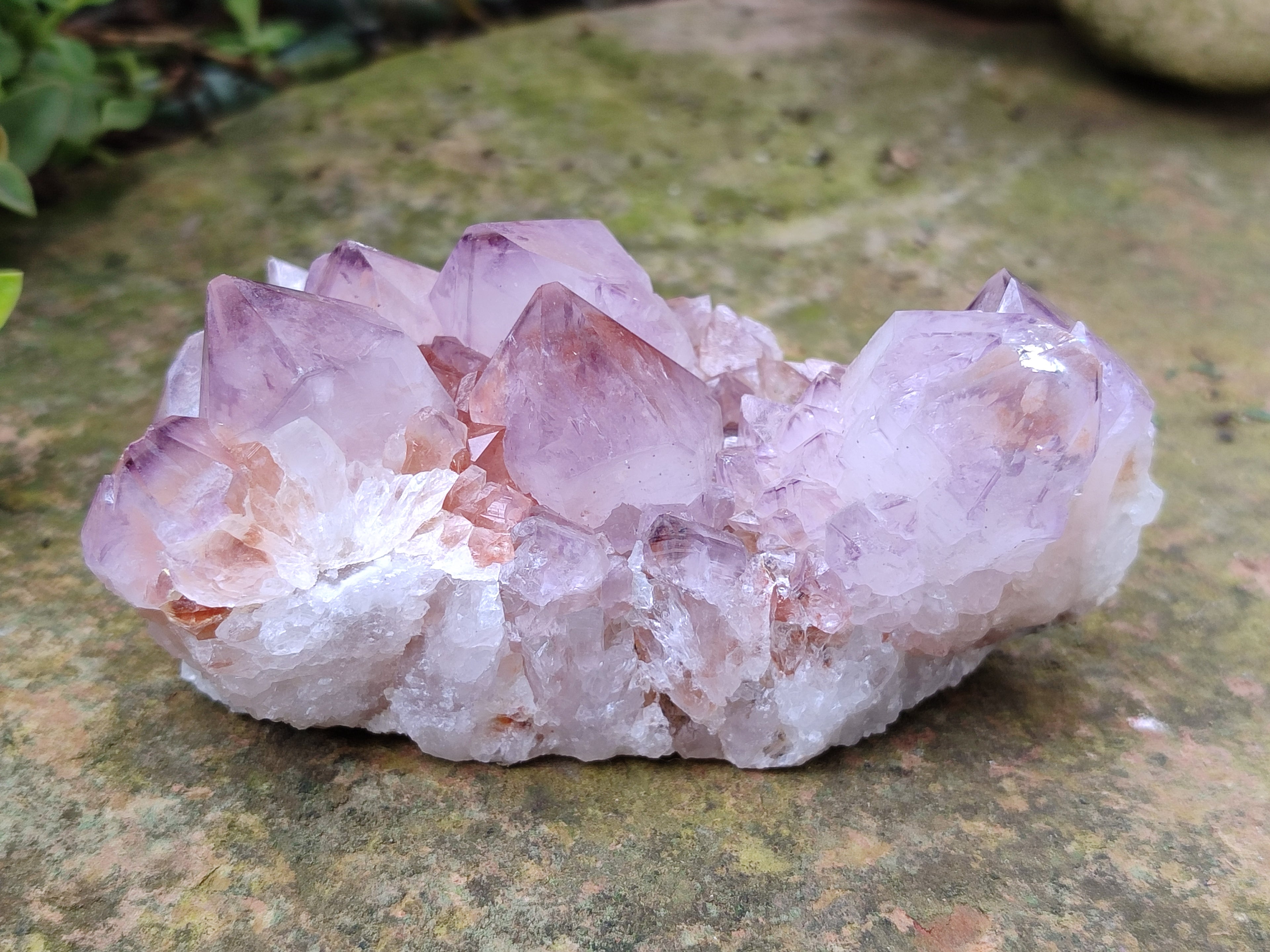 Natural Amethyst Spirit Quartz Clusters x 6 From Boekenhouthoek, South Africa - Toprock Gemstones and Minerals 