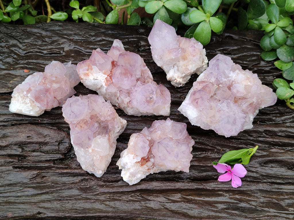 Natural Amethyst Spirit Quartz Clusters x 6 From Boekenhouthoek, South Africa - Toprock Gemstones and Minerals 
