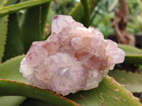Natural Amethyst Spirit Quartz Clusters x 6 From Boekenhouthoek, South Africa