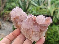 Natural Amethyst Spirit Quartz Clusters x 6 From Boekenhouthoek, South Africa