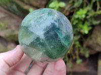 Polished Fluorescent Green Fluorite Spheres x 4 From Madagascar