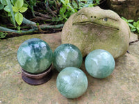 Polished Fluorescent Green Fluorite Spheres x 4 From Madagascar