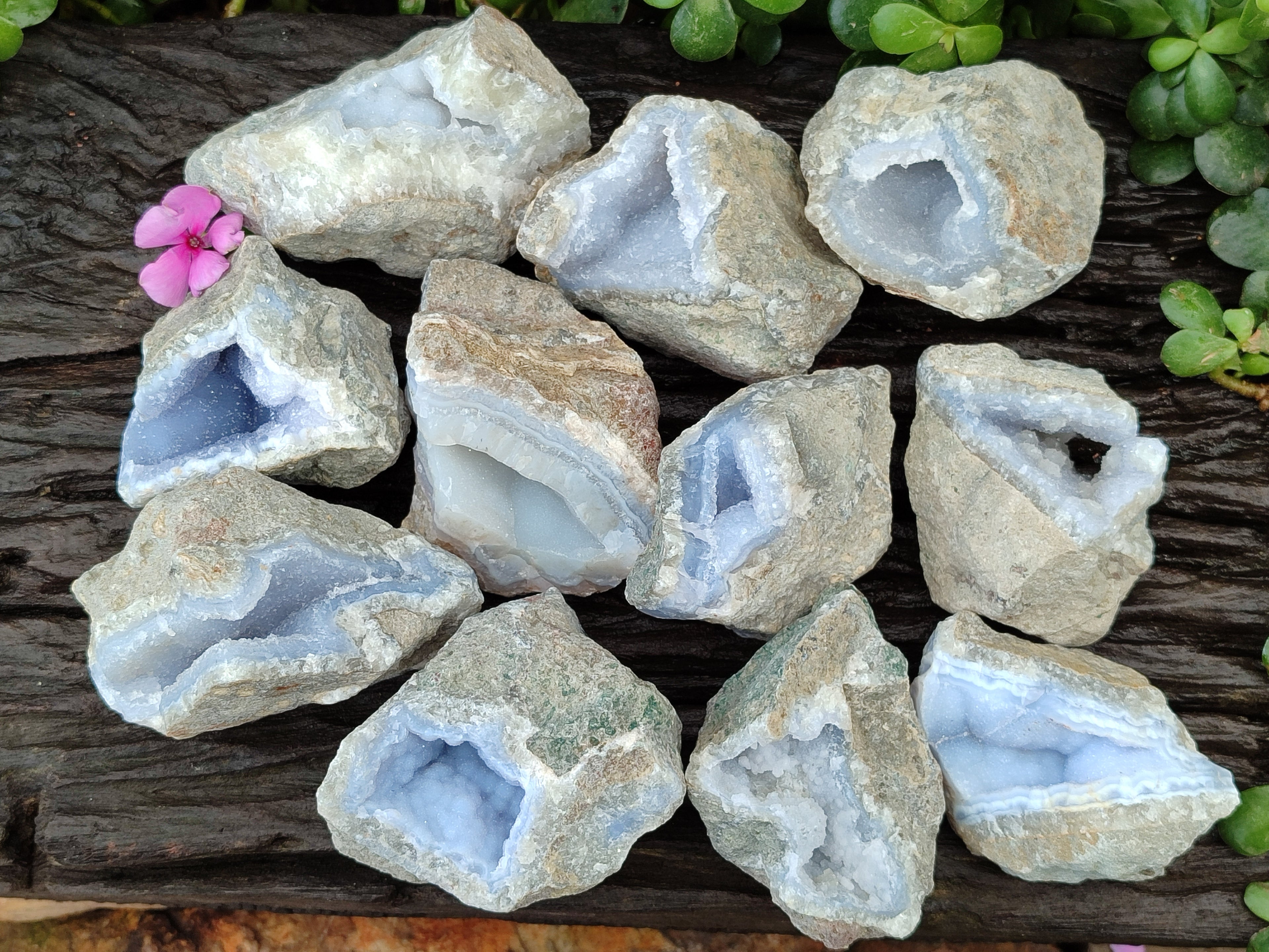 Natural Blue Lace Agate Geode Specimens x 12 From Nsanje, Malawi - Toprock Gemstones and Minerals 
