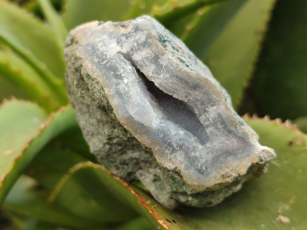 Natural Blue Lace Agate Geode Specimens x 12 From Nsanje, Malawi - Toprock Gemstones and Minerals 