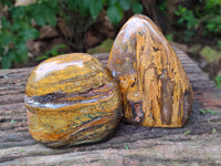 Polished Neolite Standing Free Forms x 3 From Prieska, South Africa