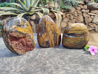 Polished Neolite Standing Free Forms x 3 From Prieska, South Africa