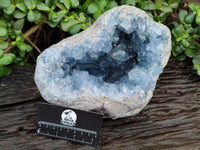 Natural Large Celestite Geode Specimen with Super Blue Central Crystal x 1 From Sakoany, Madagascar
