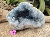 Natural Large Celestite Geode Specimen with Super Blue Central Crystal x 1 From Sakoany, Madagascar