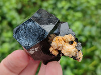 Natural Schorl Black Tourmaline Mercedes Terminated Crystals with Hyalite x 12 From Erongo, Namibia