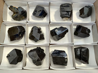 Natural Schorl Black Tourmaline Mercedes Terminated Crystals with Hyalite x 12 From Erongo, Namibia