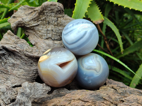 Polished Banded Agate Spheres x 6 From Madagascar