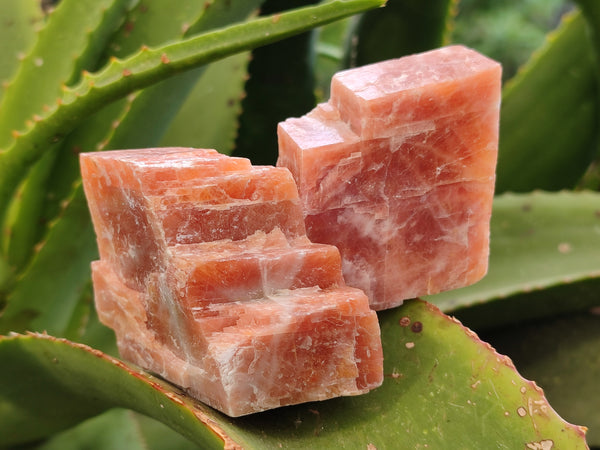 Natural Sunset Orange Rhombohedron Calcite Specimens x 12 From Spitzkop, Namibia