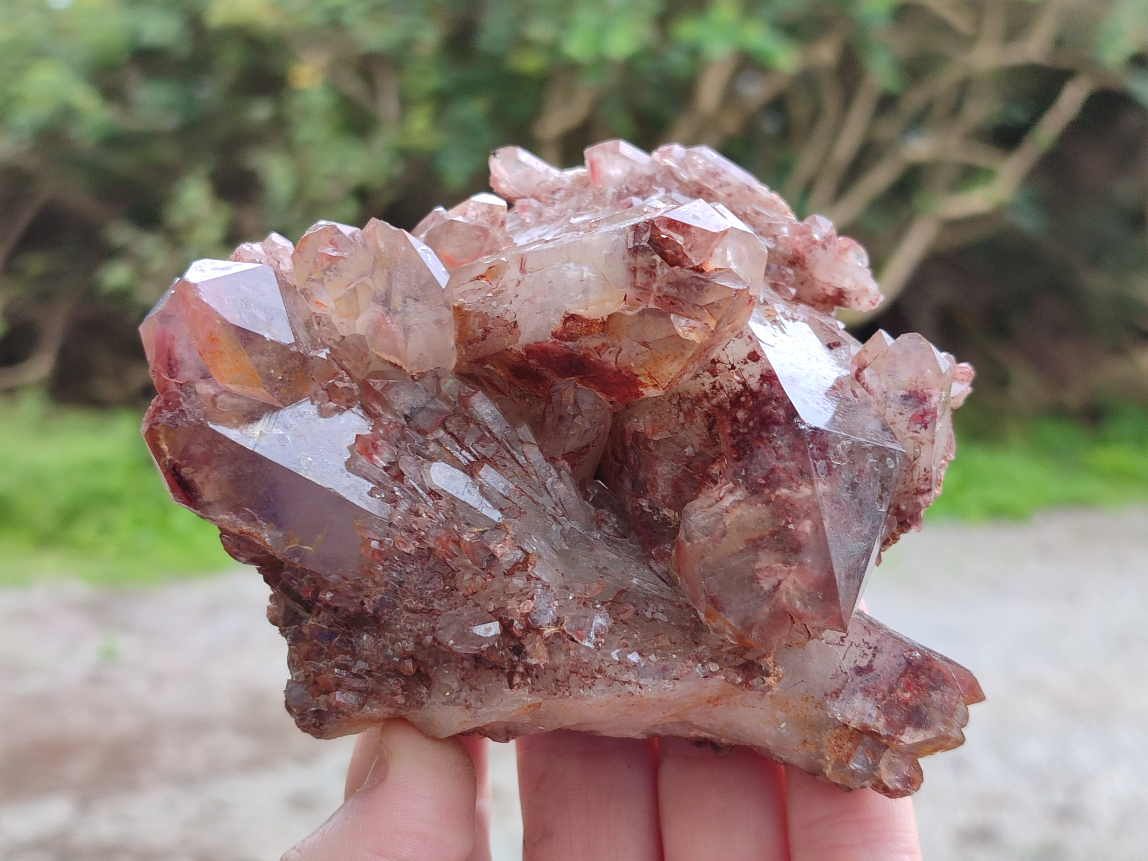 Natural Red Hematoid Quartz Clusters x 4 From Karoi, Zimbabwe - Toprock Gemstones and Minerals 