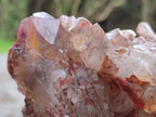 Natural Red Hematoid Quartz Clusters x 4 From Karoi, Zimbabwe - Toprock Gemstones and Minerals 