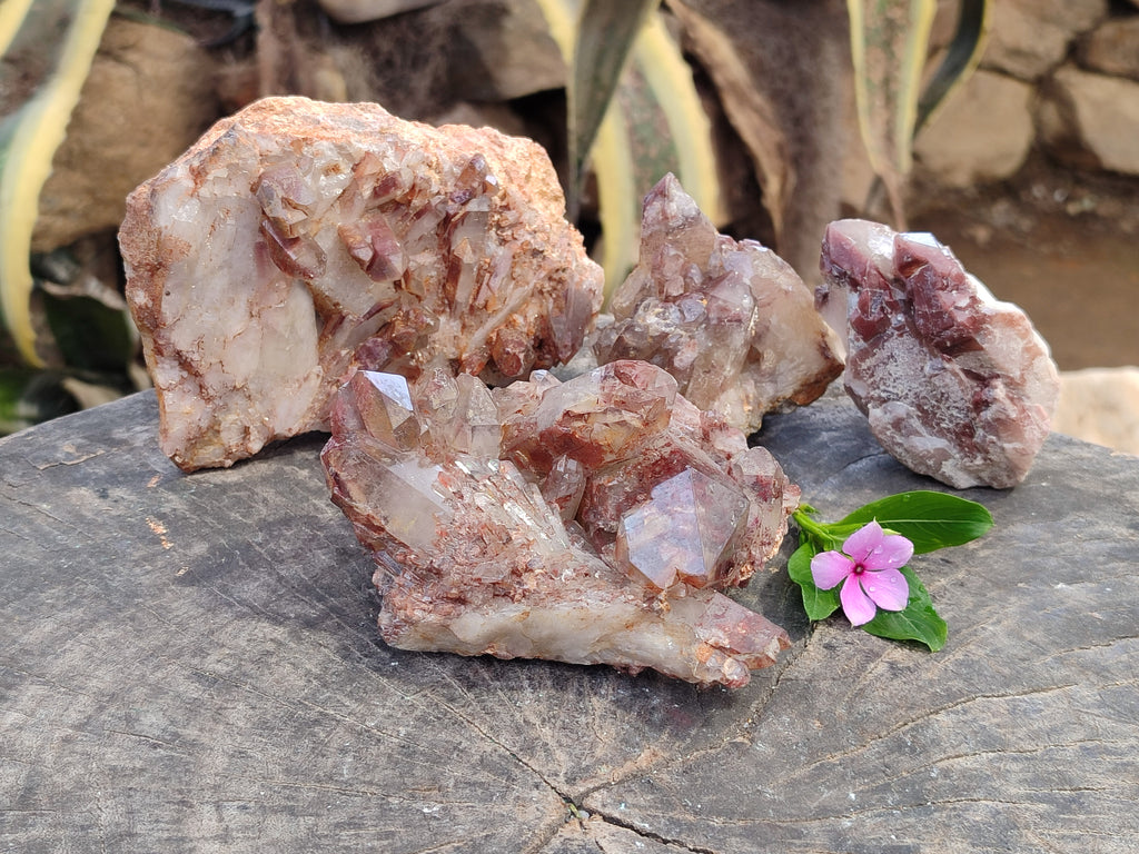 Natural Red Hematoid Quartz Clusters x 4 From Karoi, Zimbabwe - Toprock Gemstones and Minerals 