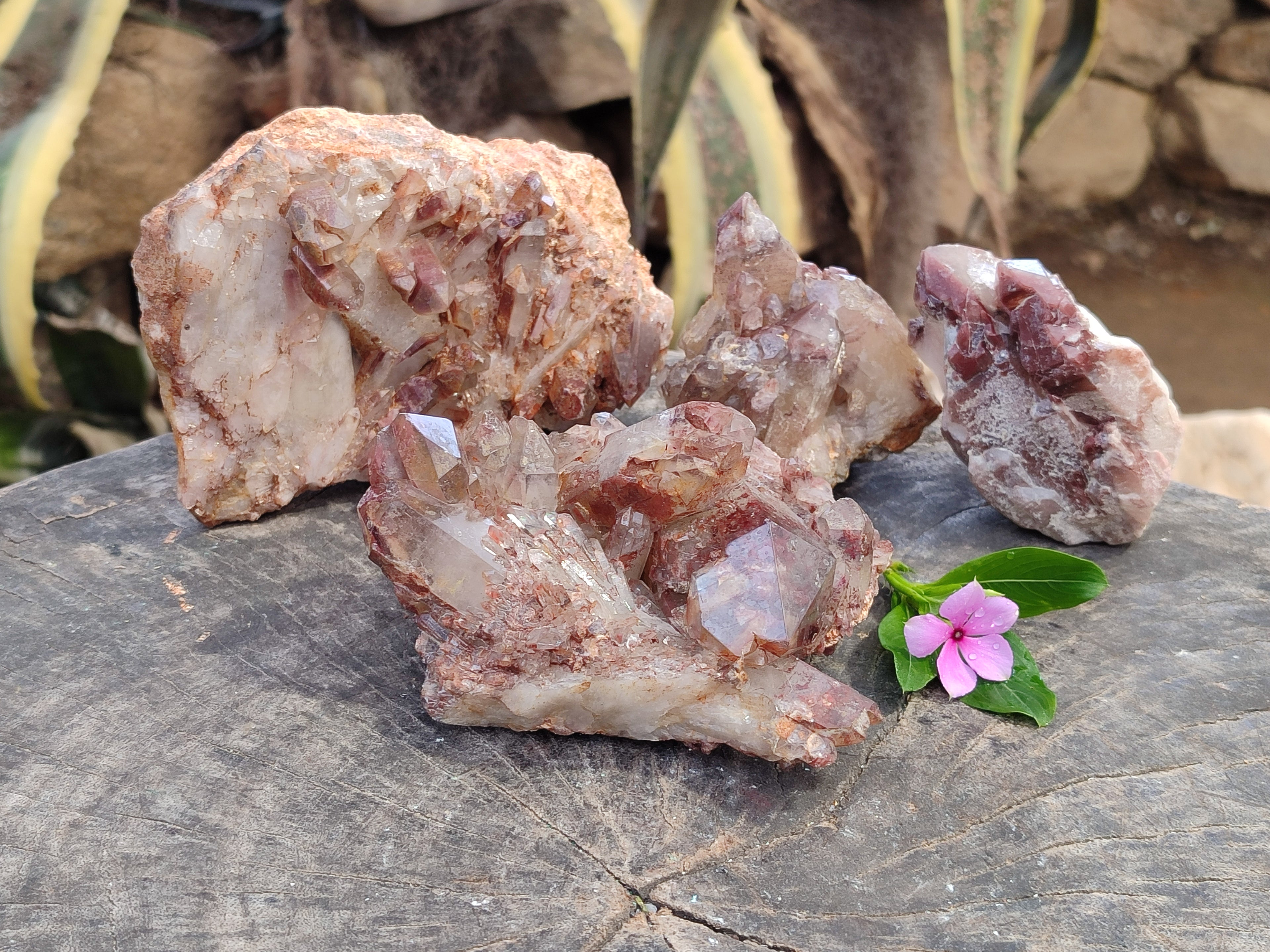 Natural Red Hematoid Quartz Clusters x 4 From Karoi, Zimbabwe - Toprock Gemstones and Minerals 