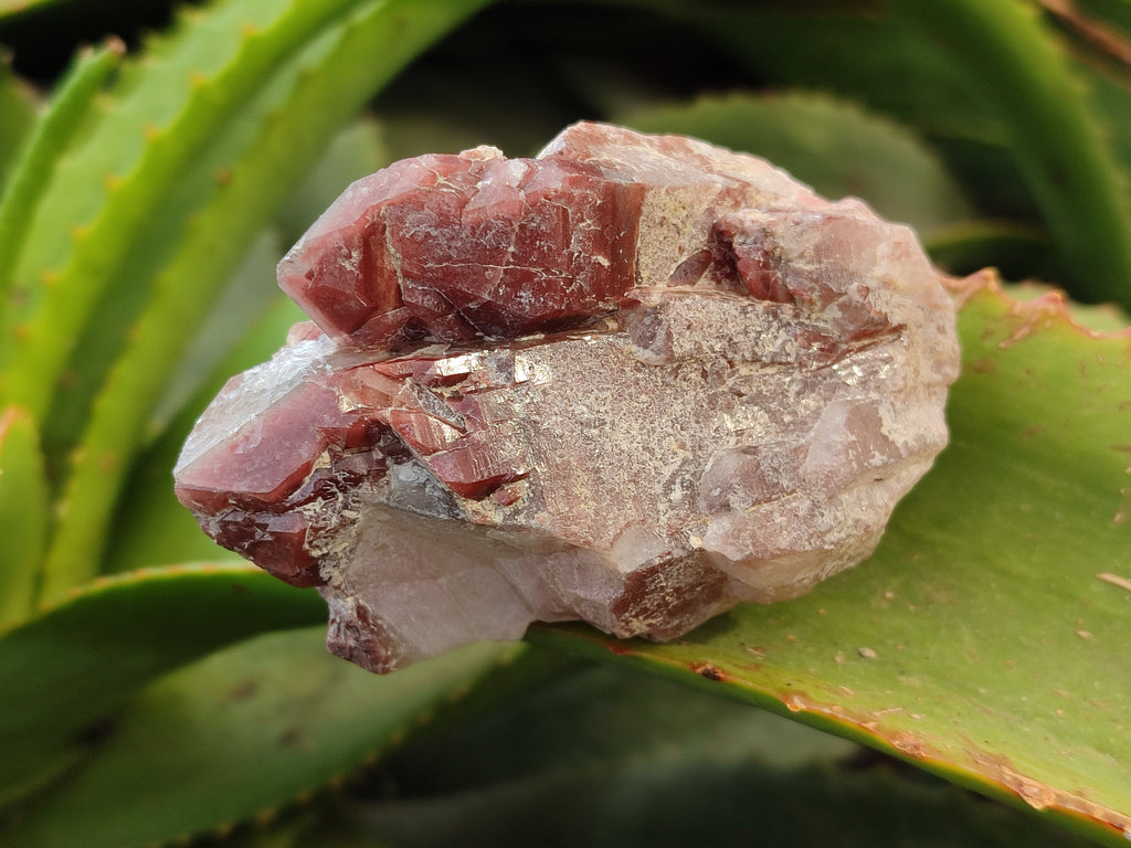 Natural Red Hematoid Quartz Clusters x 4 From Karoi, Zimbabwe - Toprock Gemstones and Minerals 