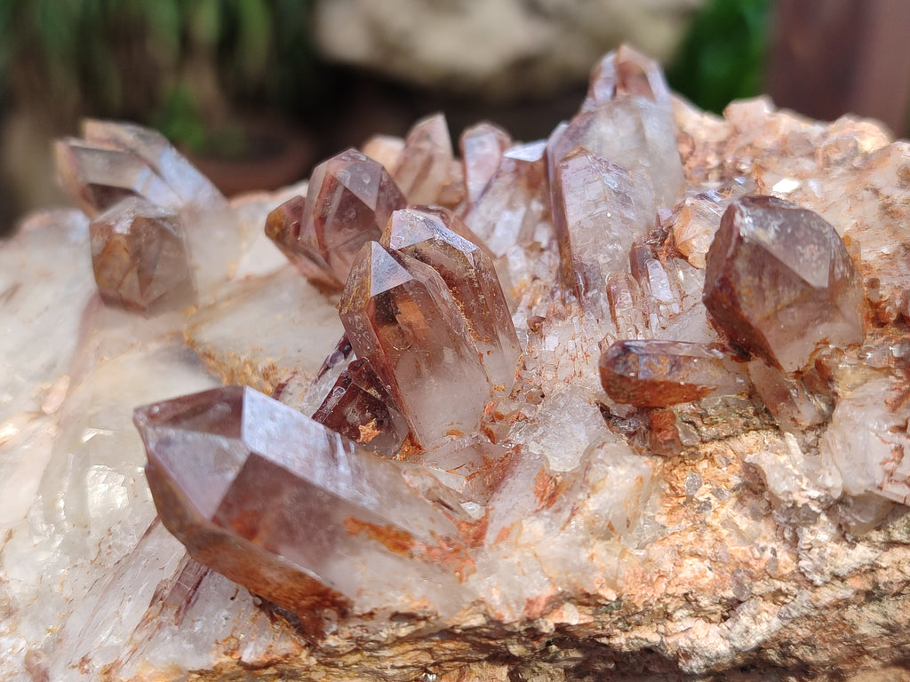 Natural Red Hematoid Quartz Clusters x 4 From Karoi, Zimbabwe - Toprock Gemstones and Minerals 