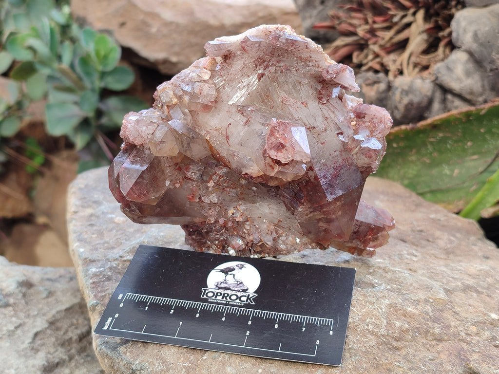 Natural Red Hematoid Quartz Clusters x 4 From Karoi, Zimbabwe - Toprock Gemstones and Minerals 