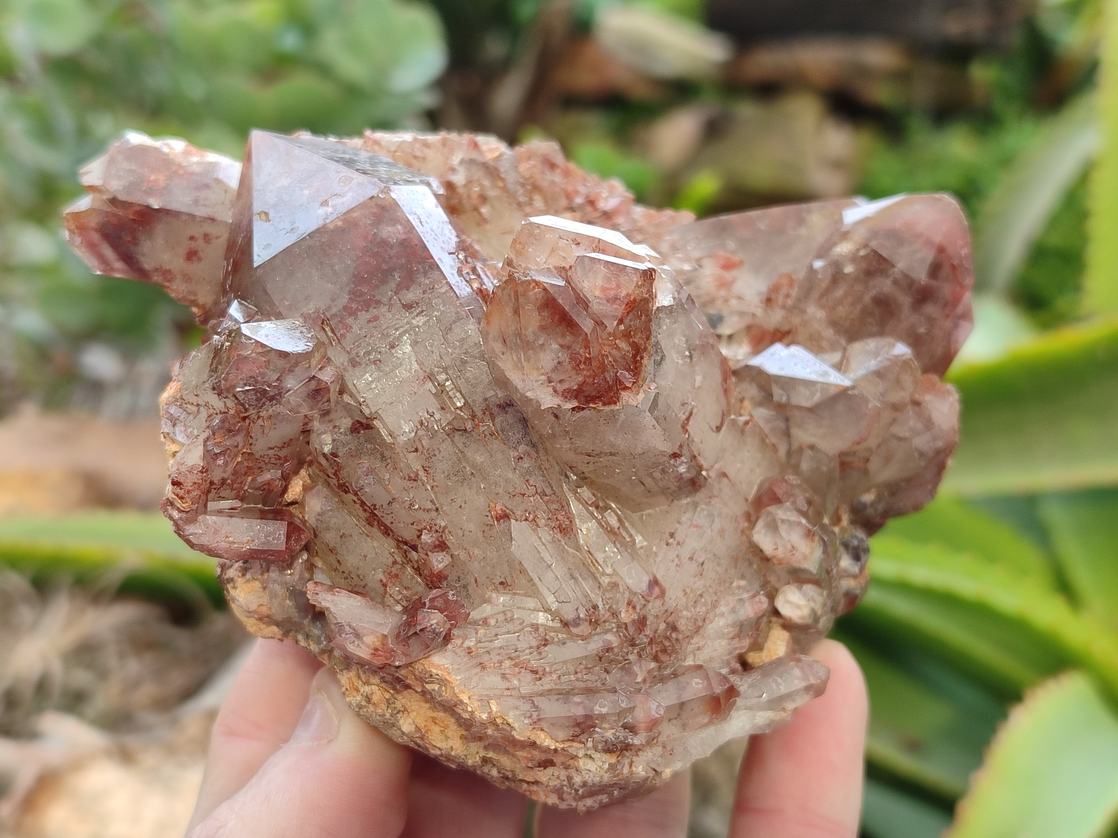Natural Red Hematoid Quartz Clusters x 4 From Karoi, Zimbabwe - Toprock Gemstones and Minerals 