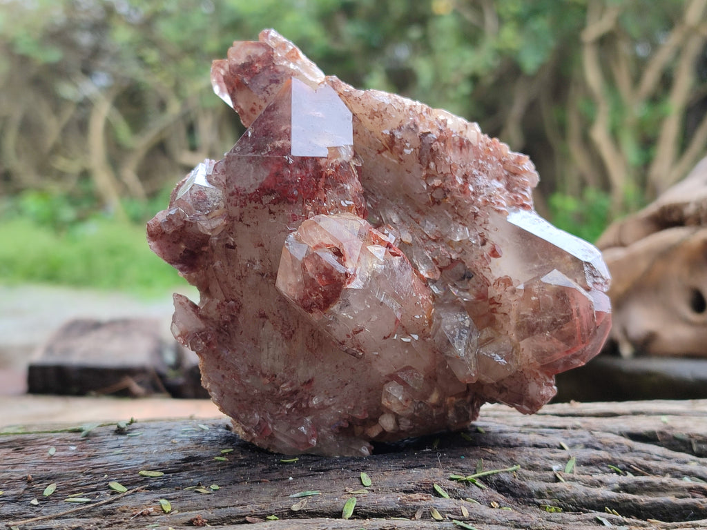 Natural Red Hematoid Quartz Clusters x 4 From Karoi, Zimbabwe - Toprock Gemstones and Minerals 