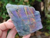 Polished on One Side Labradorite Slabs x 6 From Tulear, Madagascar