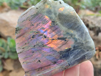 Polished on One Side Labradorite Slabs x 6 From Tulear, Madagascar