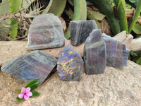 Polished on One Side Labradorite Slabs x 6 From Tulear, Madagascar