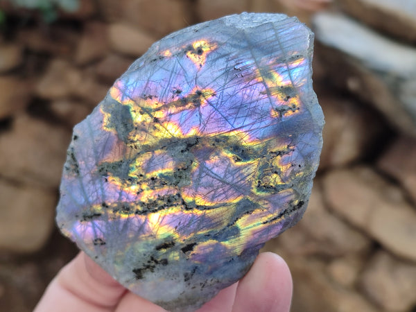 Polished on One Side Labradorite Slabs x 6 From Tulear, Madagascar