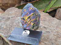Polished on One Side Labradorite Slabs x 6 From Tulear, Madagascar