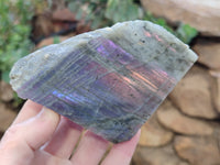Polished on One Side Labradorite Slabs x 6 From Tulear, Madagascar
