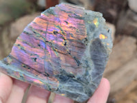 Polished on One Side Labradorite Slabs x 6 From Tulear, Madagascar