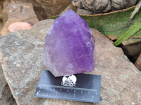 Polished Window Amethyst Quartz Crystals x 2 From Akansobe, Madagascar