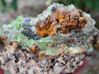 Natural Fluorescent Opal Hyalite with Schorl Tourmaline Specimens x 2 From Erongo, Namibia