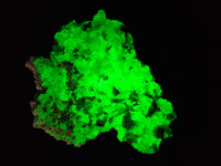Natural Fluorescent Opal Hyalite with Schorl Tourmaline Specimens x 2 From Erongo, Namibia