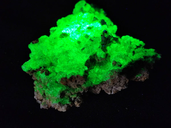 Natural Fluorescent Opal Hyalite with Schorl Tourmaline Specimens x 2 From Erongo, Namibia