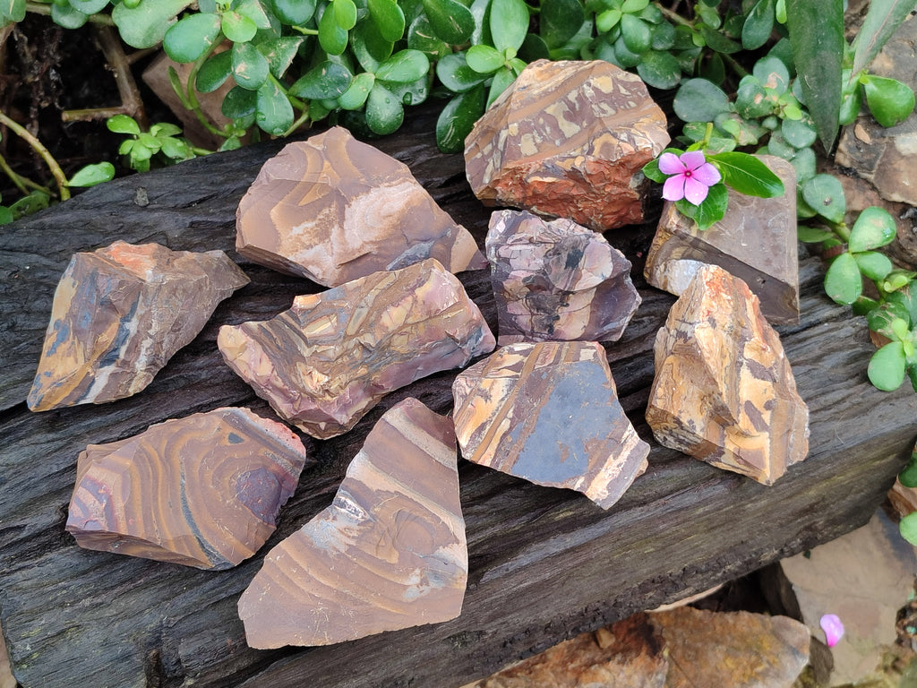 Natural Nguni Jasper Cobbed Specimens x 14 From Prieska, South Africa - Toprock Gemstones and Minerals 