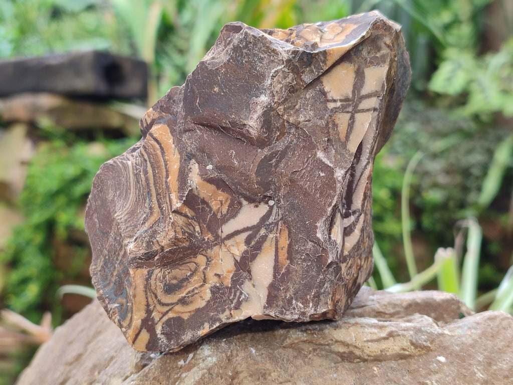 Natural Nguni Jasper Cobbed Specimens x 14 From Prieska, South Africa - Toprock Gemstones and Minerals 