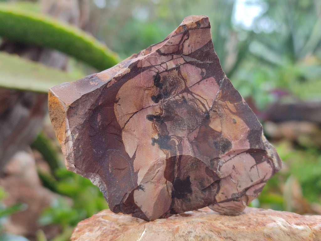 Natural Nguni Jasper Cobbed Specimens x 14 From Prieska, South Africa - Toprock Gemstones and Minerals 