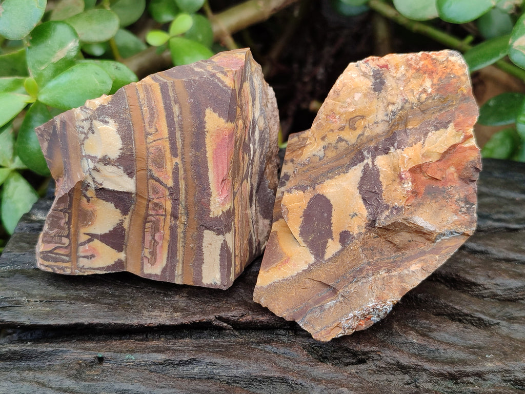 Natural Nguni Jasper Cobbed Specimens x 14 From Prieska, South Africa - Toprock Gemstones and Minerals 