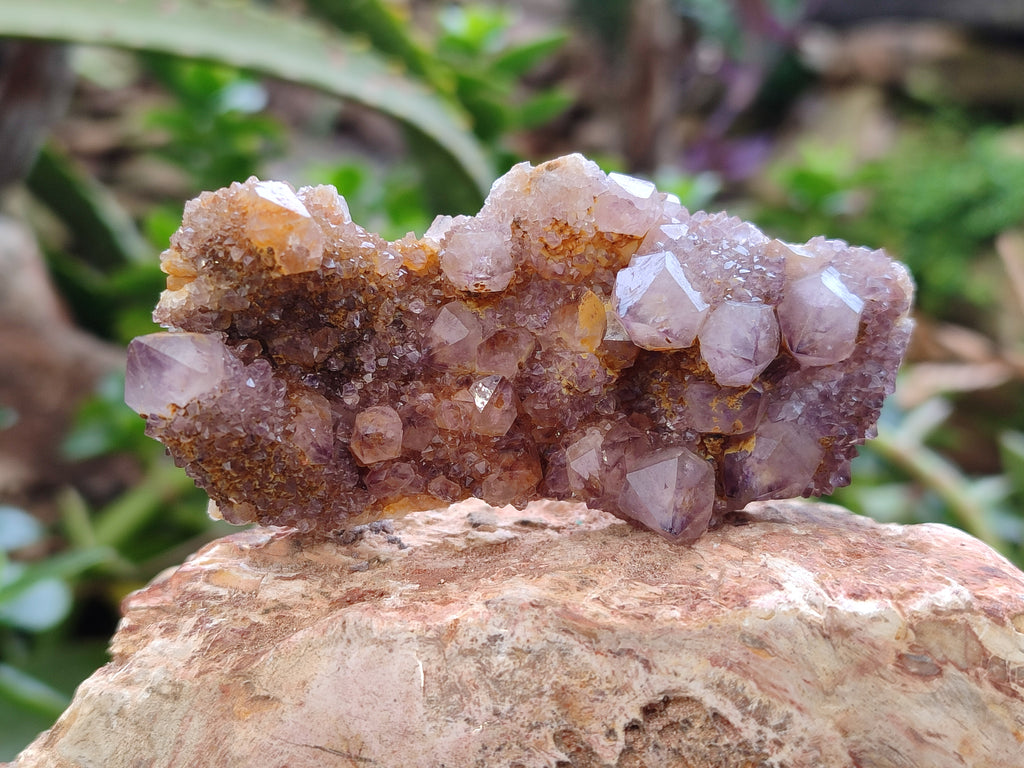 Natural Amethyst Spirit Quartz Clusters x 12 From Boekenhouthoek, South Africa - Toprock Gemstones and Minerals 