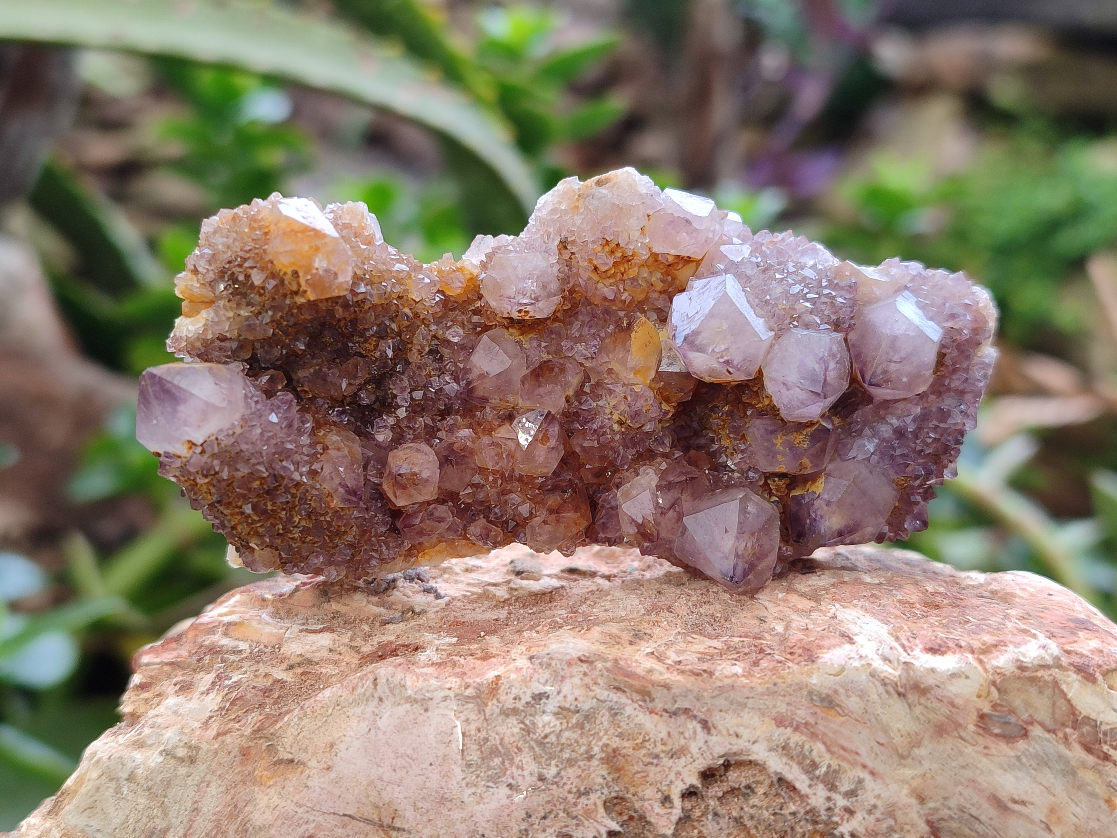 Natural Amethyst Spirit Quartz Clusters x 12 From Boekenhouthoek, South Africa - Toprock Gemstones and Minerals 