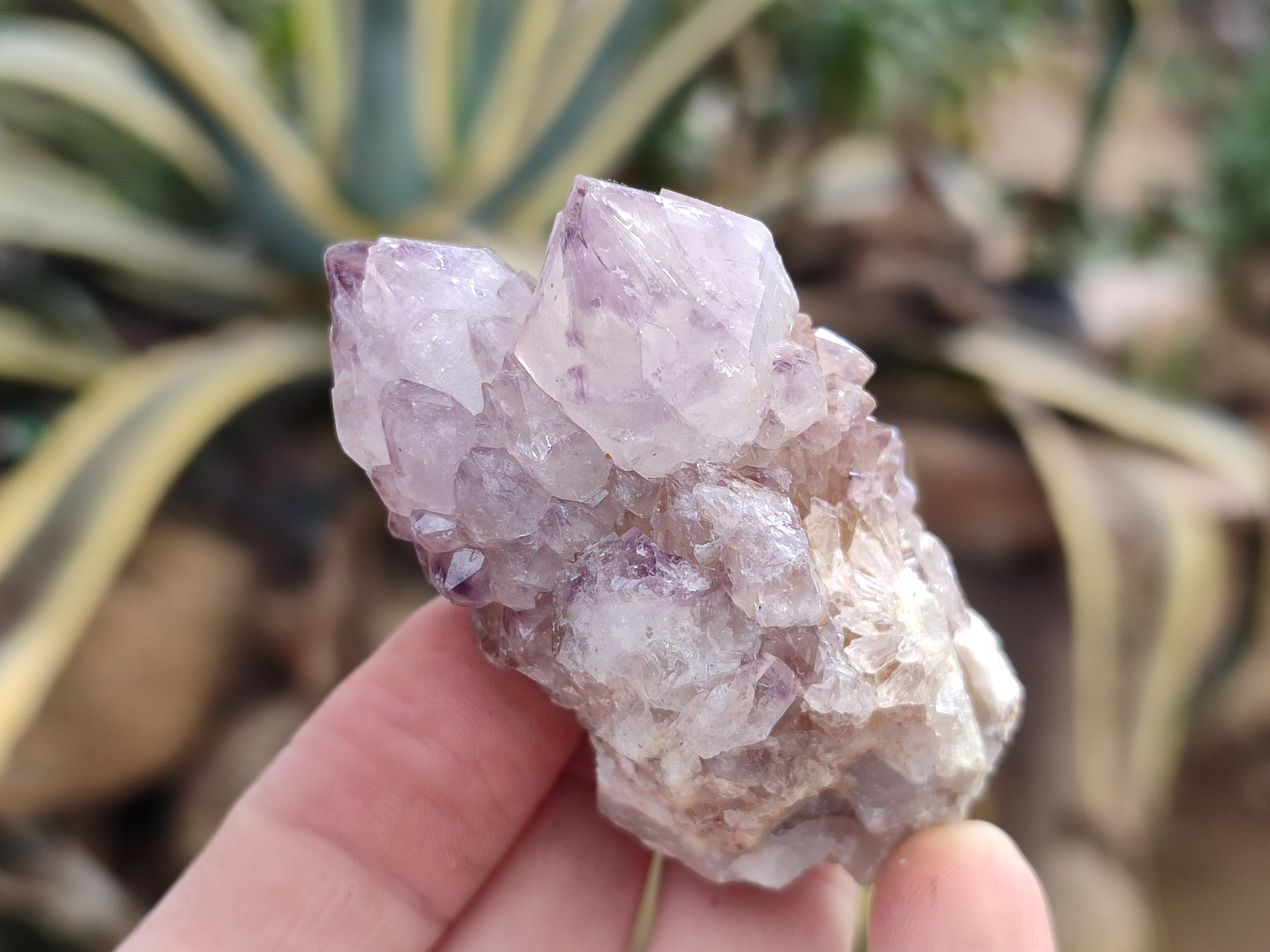 Natural Amethyst Spirit Quartz Clusters x 12 From Boekenhouthoek, South Africa - Toprock Gemstones and Minerals 