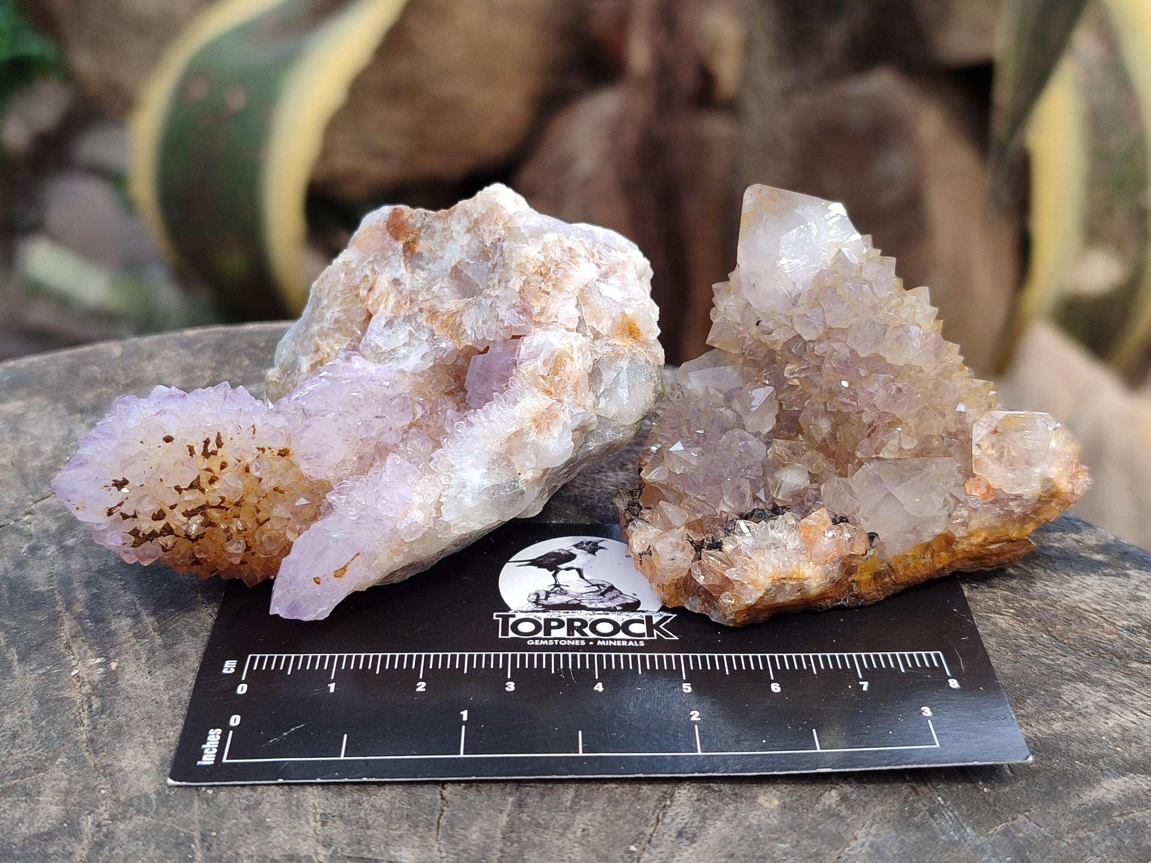 Natural Amethyst Spirit Quartz Clusters x 12 From Boekenhouthoek, South Africa - Toprock Gemstones and Minerals 