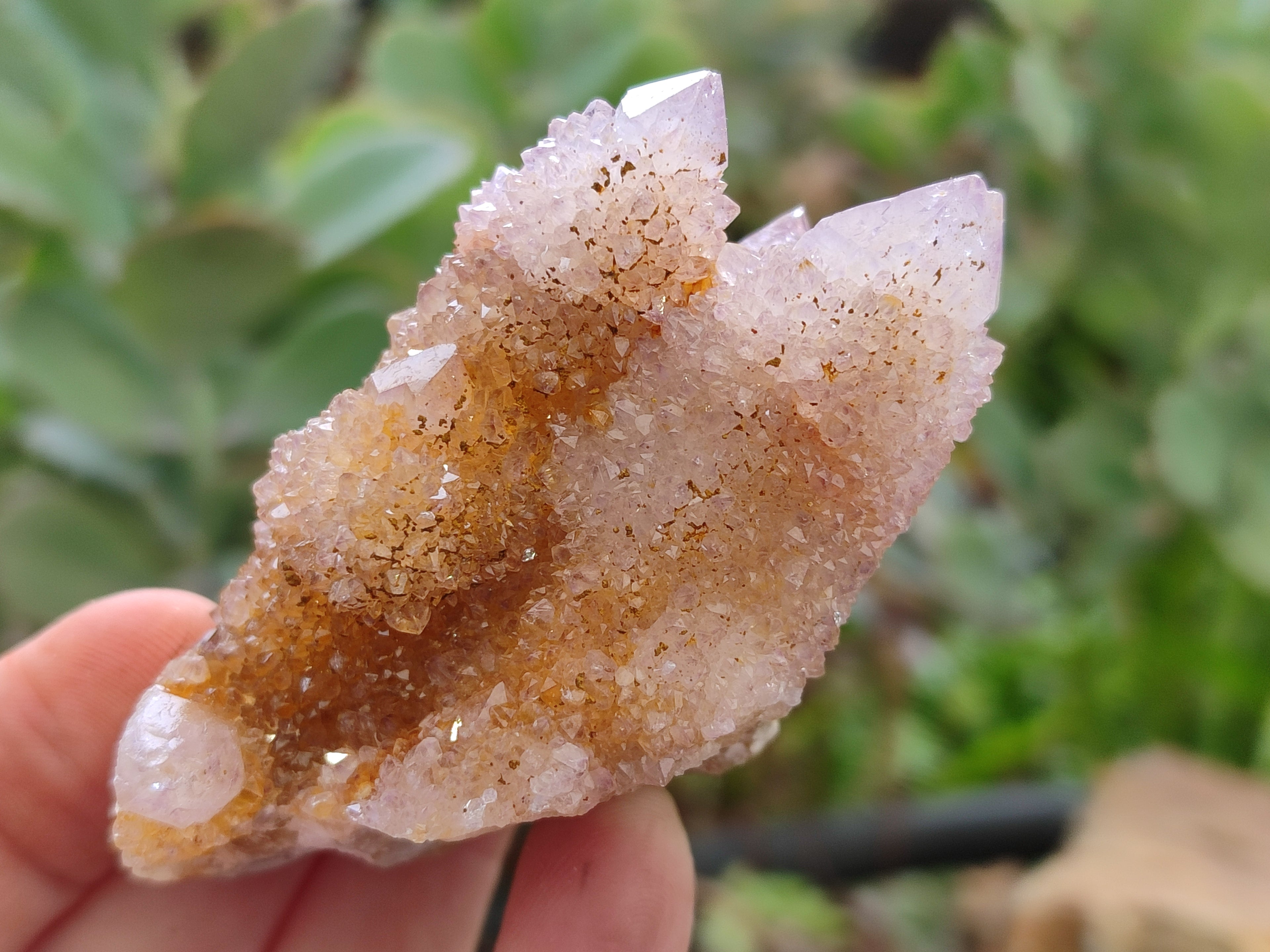 Natural Amethyst Spirit Quartz Clusters x 12 From Boekenhouthoek, South Africa - Toprock Gemstones and Minerals 