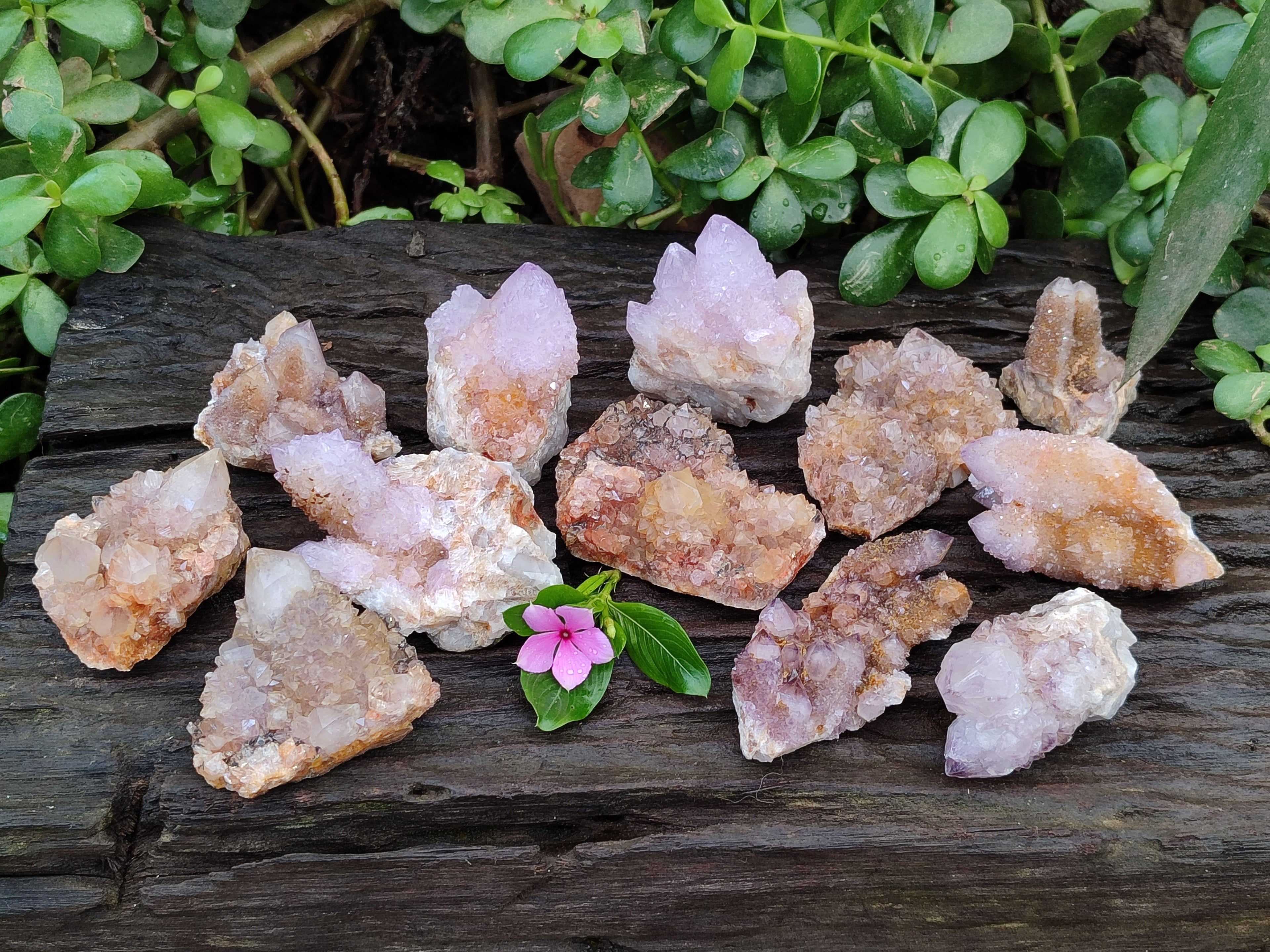 Natural Amethyst Spirit Quartz Clusters x 12 From Boekenhouthoek, South Africa - Toprock Gemstones and Minerals 
