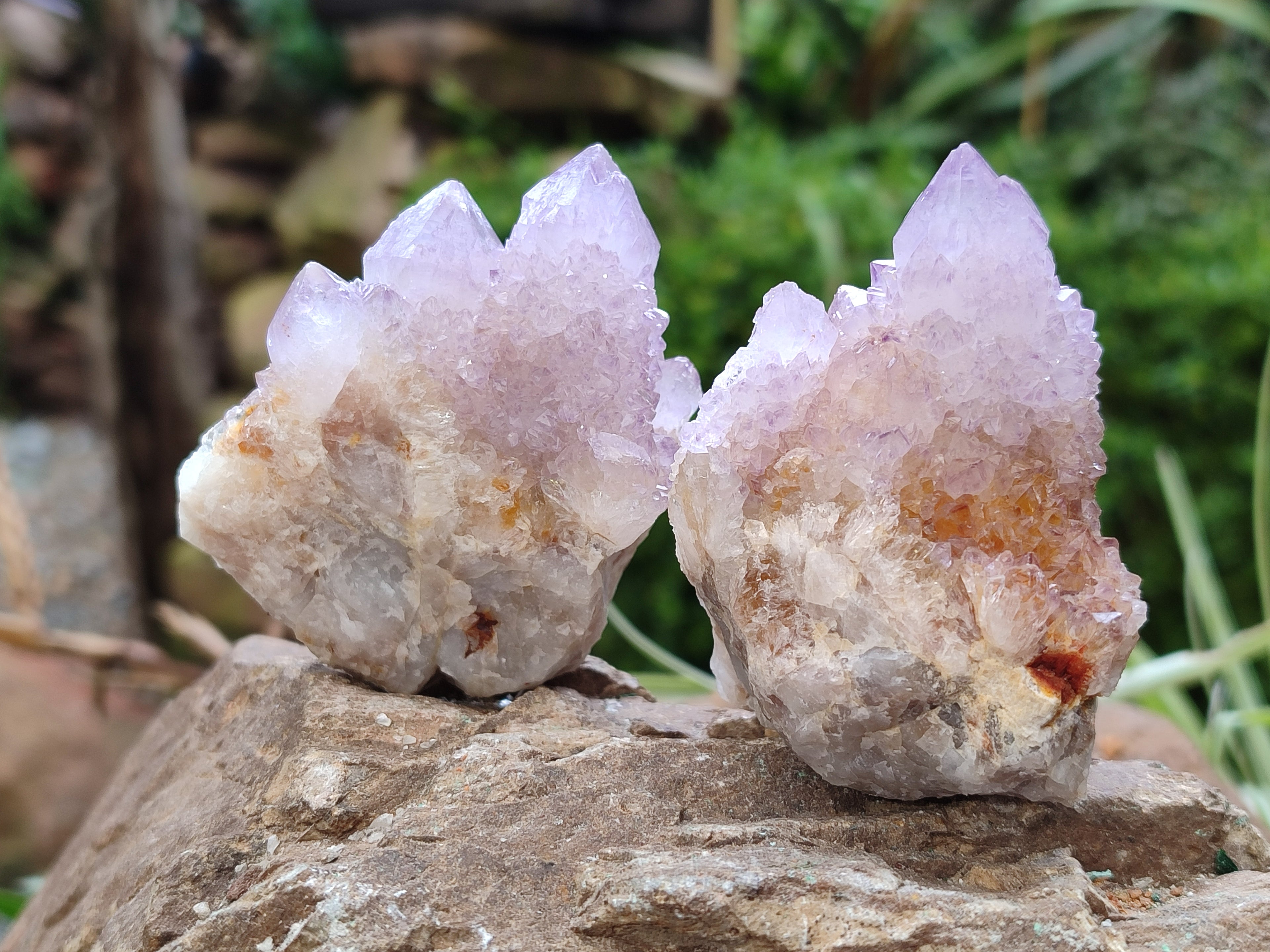 Natural Amethyst Spirit Quartz Clusters x 12 From Boekenhouthoek, South Africa - Toprock Gemstones and Minerals 