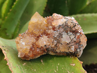 Natural Amethyst Spirit Quartz Clusters x 12 From Boekenhouthoek, South Africa
