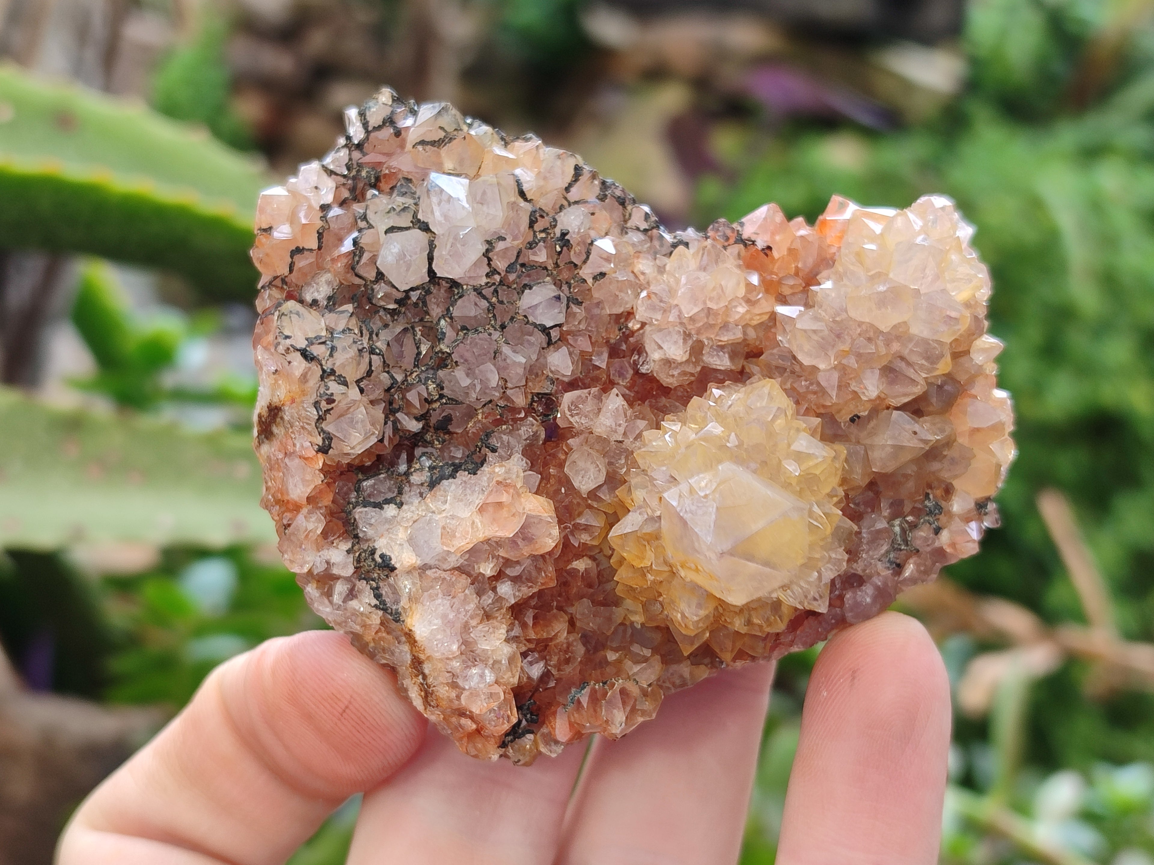 Natural Amethyst Spirit Quartz Clusters x 12 From Boekenhouthoek, South Africa - Toprock Gemstones and Minerals 
