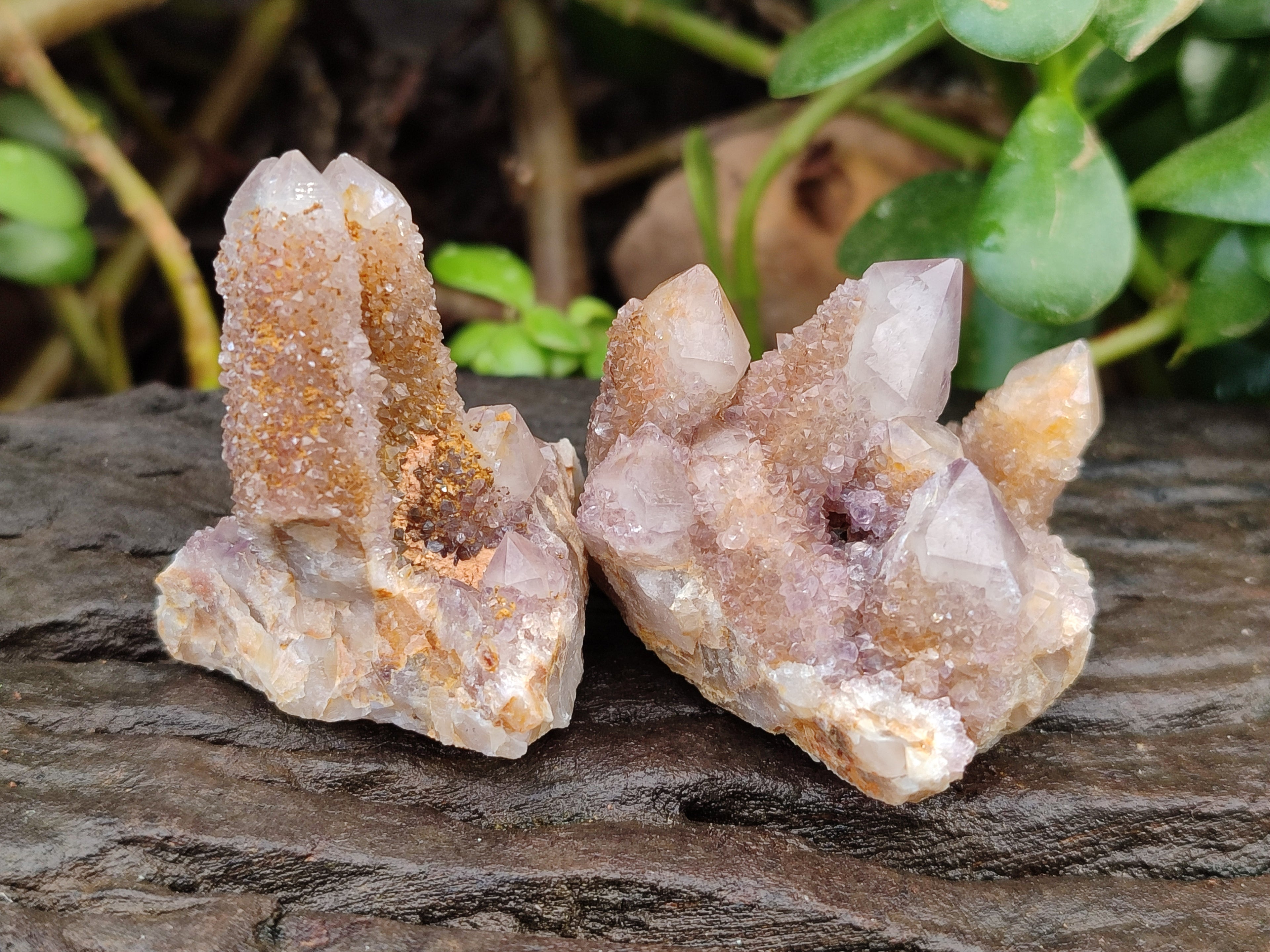 Natural Amethyst Spirit Quartz Clusters x 12 From Boekenhouthoek, South Africa - Toprock Gemstones and Minerals 